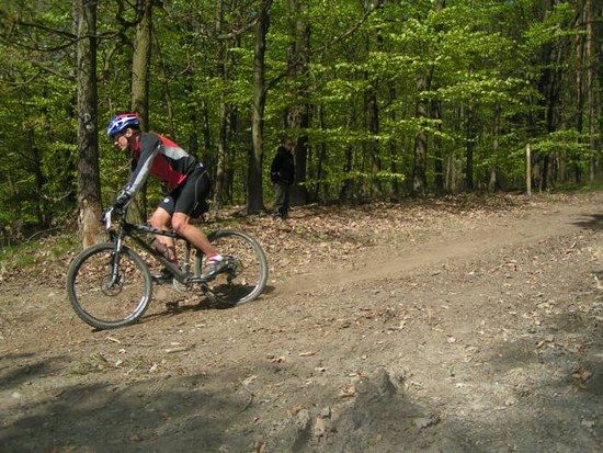Kellerwald 2007
