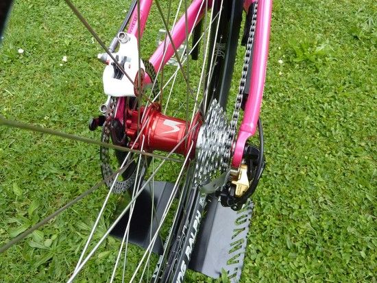 Canyon 2009 4X Prototype pink/red/black