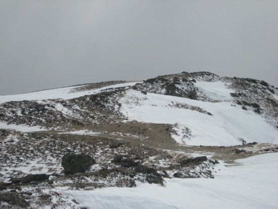 IMG 0649