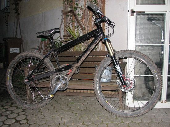 IMG 7313