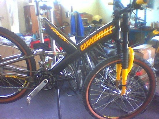 CannondaleRaven014