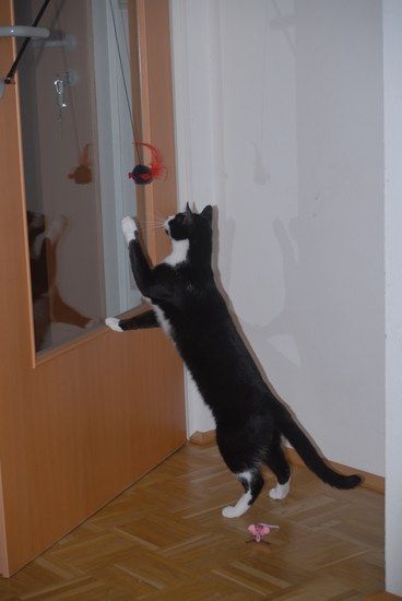 Lilly spielt