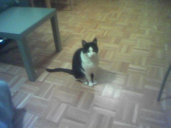 Spencer2