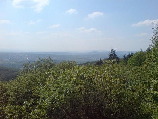 DSC00082