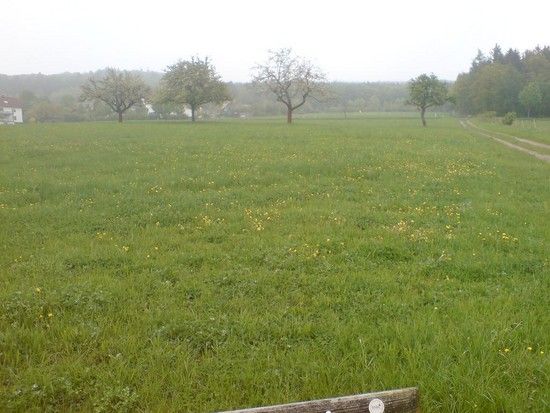 DSC00087