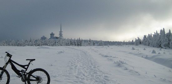 IMG 3820pan