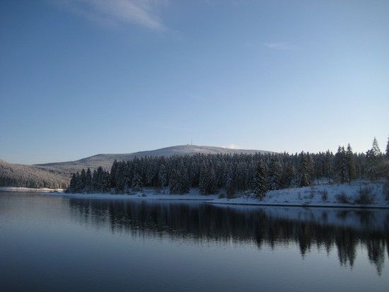 IMG 3831