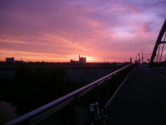 DSCN1453