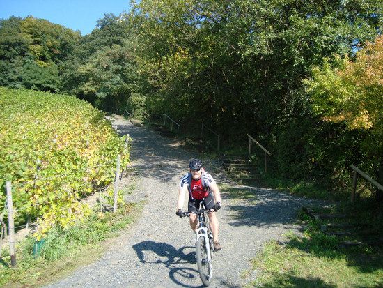 Siebengebirge 09/2008