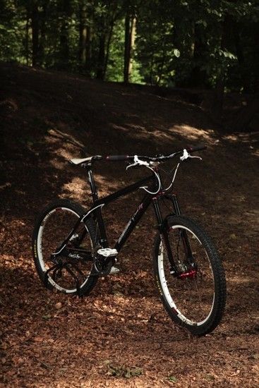 Santa Cruz Chameleon