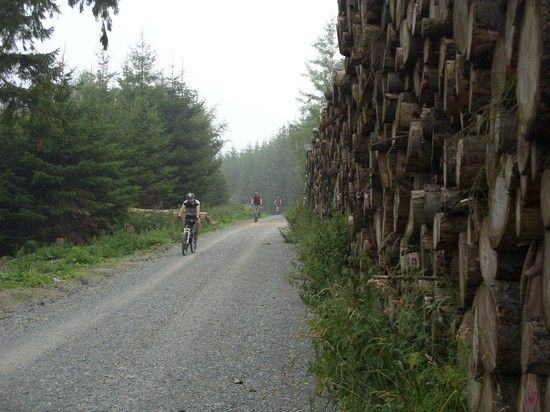 Willingen Diemelsee Tour