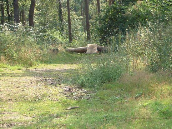 Habe die Brücke mit langen Schrauben zusätzlich verschraubt