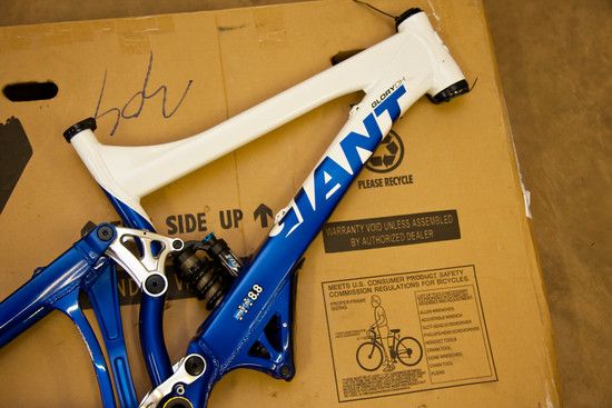 Giant Glory DH 3