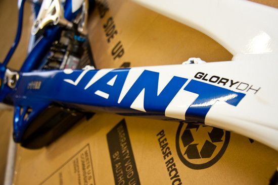 Giant Glory DH 5