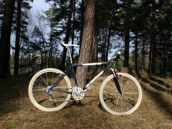 bontrager1