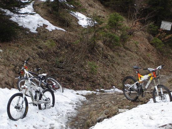 Bike2011006