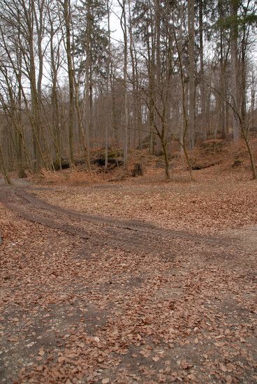 BK17.03.20094