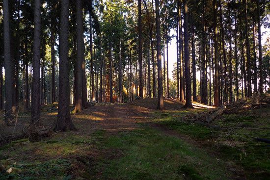 Taunus im Herbst