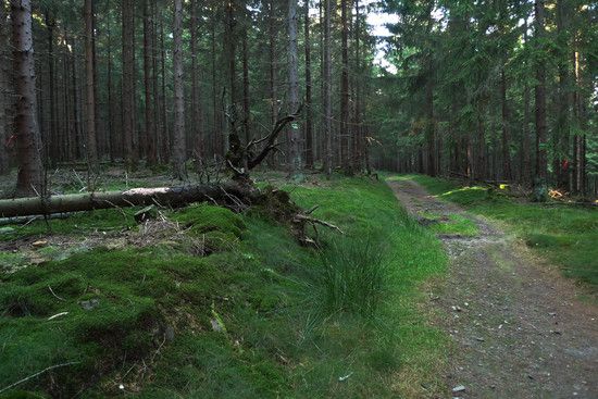 Taunus im Herbst