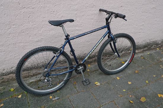 schwinn fertig2