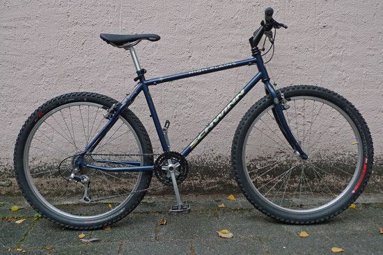 schwinn fertig3