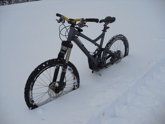 ReignX1039