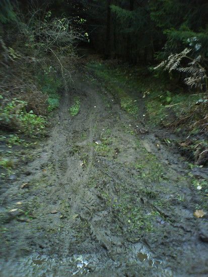 DSC00564