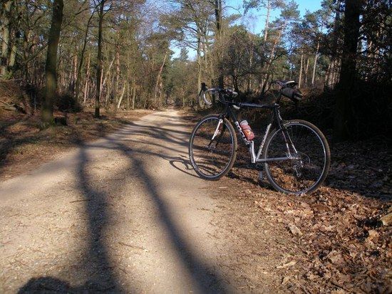 16.02.08 - Auf dem Wildschweinhighway