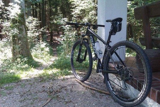 Giant XTC 29