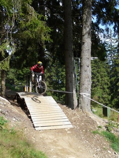 Holzsprung