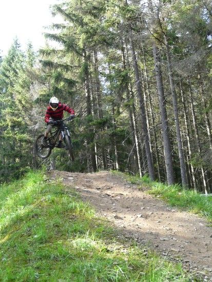 Whip