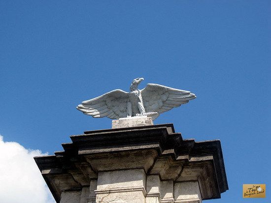 Adler