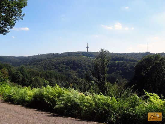 Fernsehturm