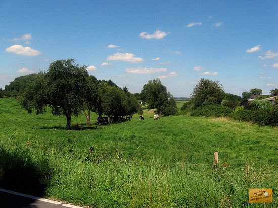 Landschaft