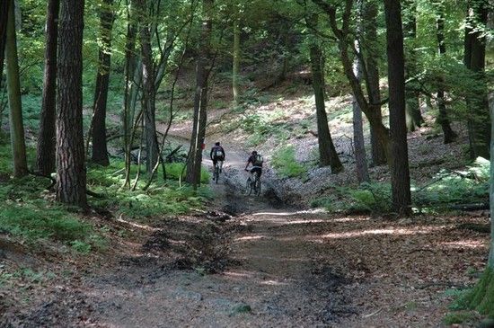 CTFHaardbiker2009071