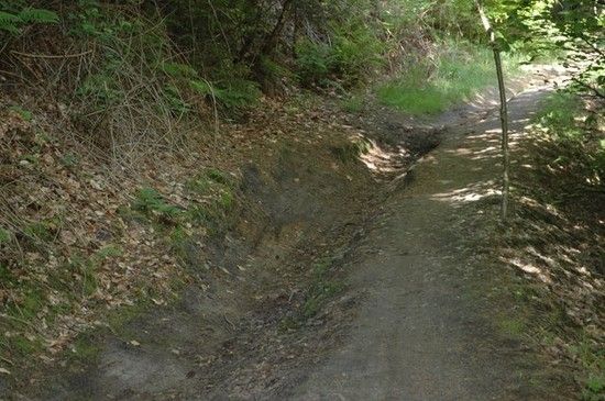 CTFHaardbiker2009091