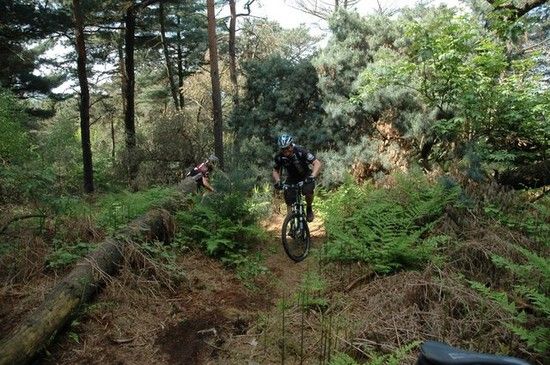 CTFHaardbiker2009235