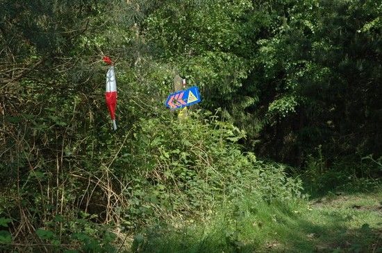 CTFHaardbiker2009295