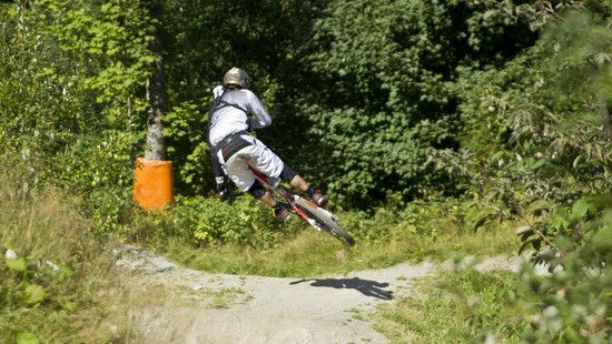 whip