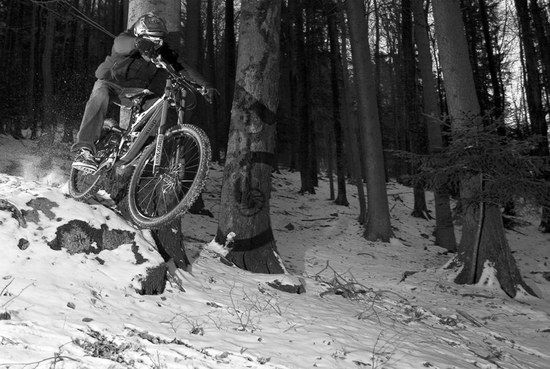 winterwald
