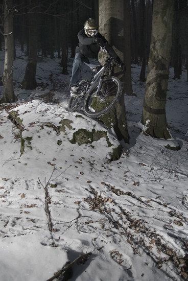 winterwald2