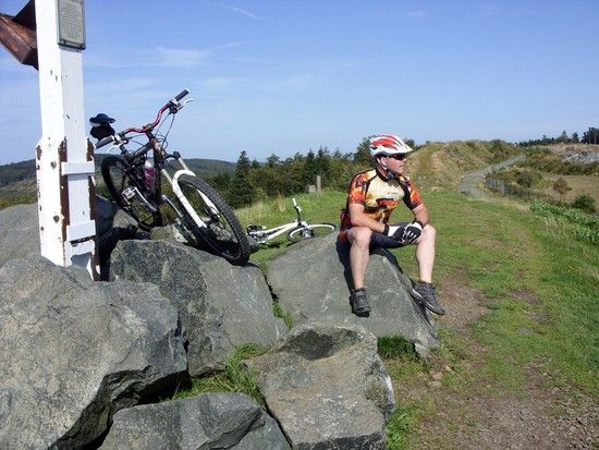 willingenaugust2011036