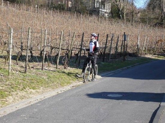 Bild15