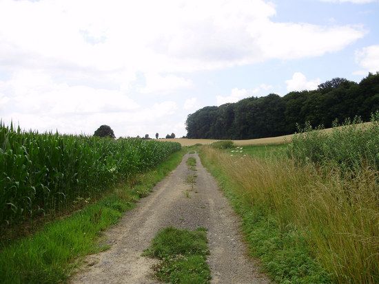 MTBMassenbachUmgebungP714004121