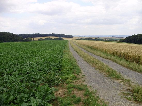 MTBMassenbachUmgebungP714004122