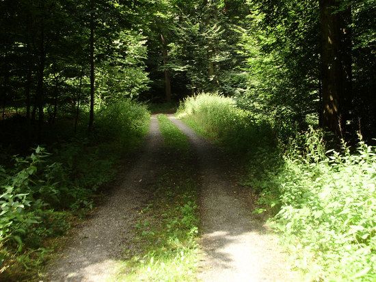MTBMassenbachUmgebungP714004132
