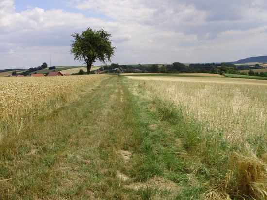 MTBMassenbachUmgebungP714004138