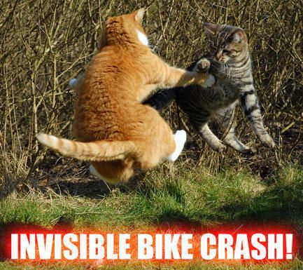 InvisibleBikeCrashCats