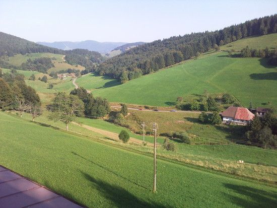 Haldenhof; Tag 5