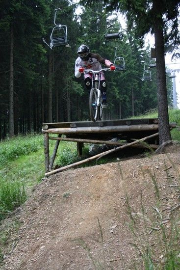 steinach
